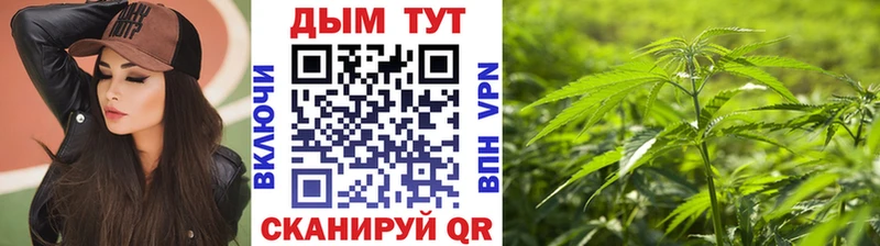 Где продают наркотики Щучье Cocaine Меф мяу мяу Alpha PVP OMG как войти Каннабис АМФЕТАМИН