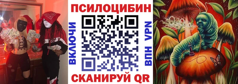 наркошоп  Щучье  Псилоцибиновые грибы прущие грибы 